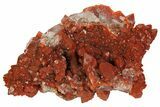 Sparkly, Red Quartz Crystal Cluster - Morocco #173909-2